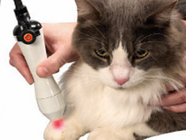 Laser Therapy