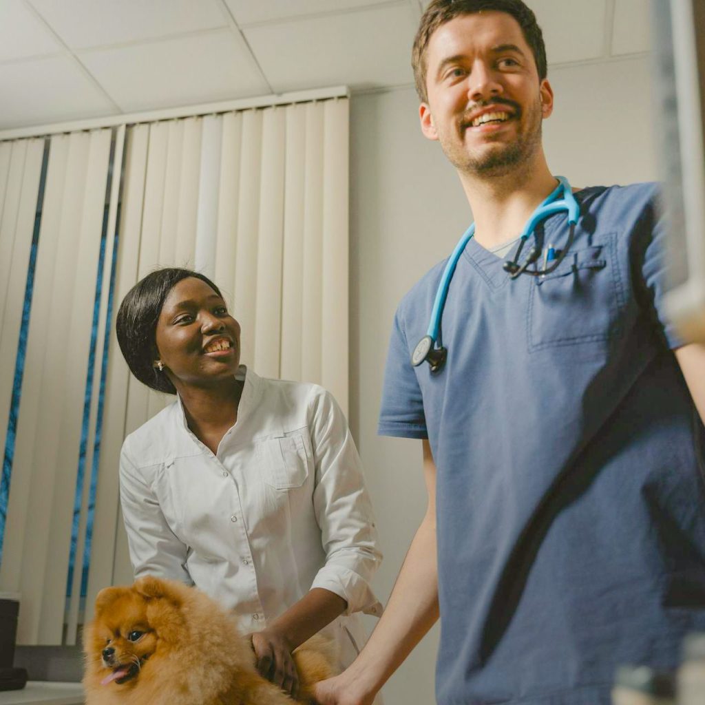 Vet tech