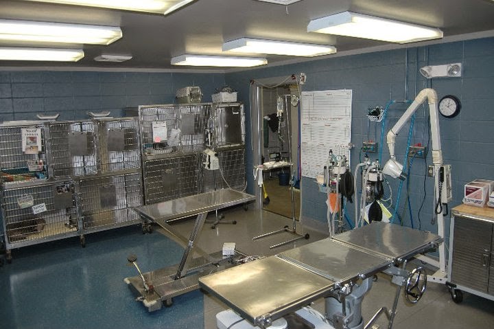 Veterinary Office Photo