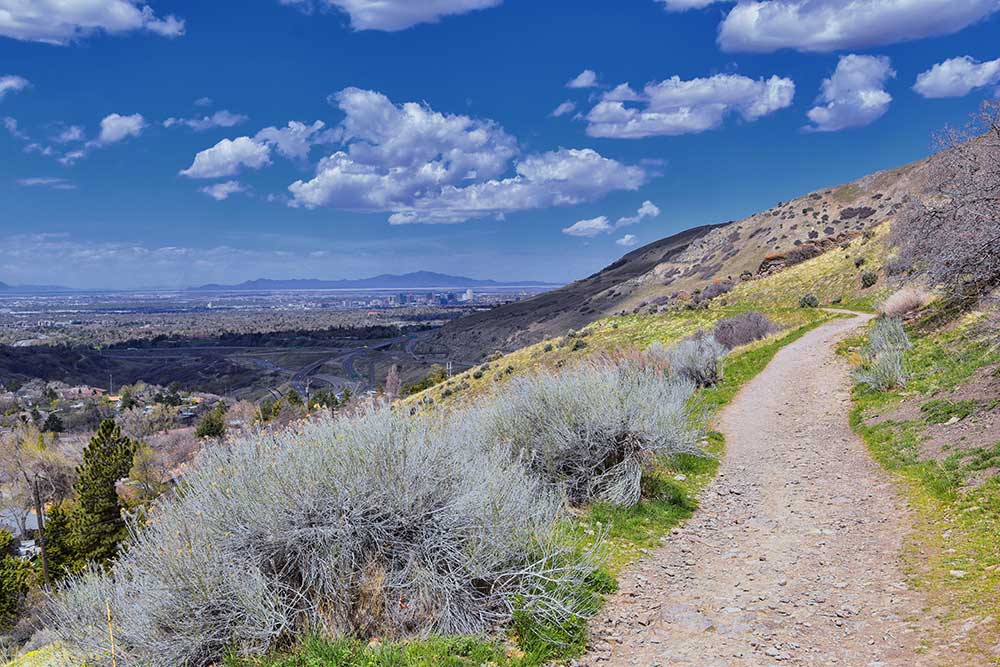 Colorado Trail